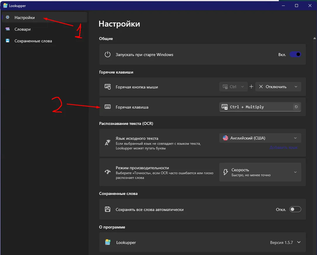 Lookupper settings with Ctrl + Multiply hotkey assigned